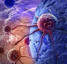 Anti-Infectives / Antibiotics